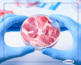 Cell cultivated food, sometimes refferred as "lab grown meat", now follow a new guidance developing and producing cell-cultivated products.